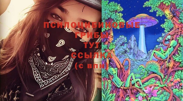 гидра Алзамай